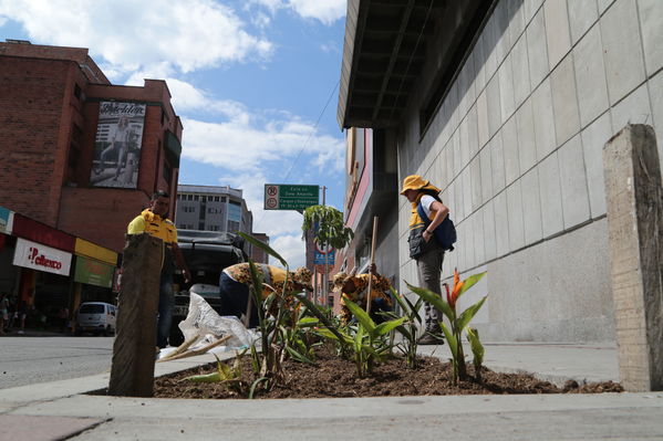 Acto simbólico de restauración y siembra – Centro Parrilla
Acto simbólico de restauración y siembra – Centro Parrilla
Fecha: Diciembre 4 de 2017
Para descargar esta fotografía en alta resolución, haga clic sobre la imagen hasta que la misma se despliegue en la pantalla completa; luego dé clic derecho y elija la opción "guardar imagen como". 
En caso de publicación por cualquier medio, solicitamos acompañarla del crédito: "Foto EPM"
Palabras clave: Acto simbólico de restauración y siembra – Centro Parrilla