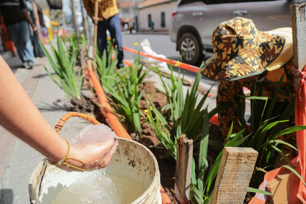 Acto simbólico de restauración y siembra – Centro Parrilla
Acto simbólico de restauración y siembra – Centro Parrilla
Fecha: Diciembre 4 de 2017
Para descargar esta fotografía en alta resolución, haga clic sobre la imagen hasta que la misma se despliegue en la pantalla completa; luego dé clic derecho y elija la opción "guardar imagen como". 
En caso de publicación por cualquier medio, solicitamos acompañarla del crédito: "Foto EPM"
Palabras clave: Acto simbólico de restauración y siembra – Centro Parrilla