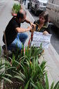 Filename=IMG_0438.JPG
Filesize=1586KiB
Dimensions=3333x5000
Date added=Dec 04, 2017 IMG_0438.JPG