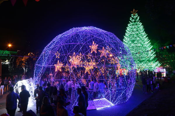 Alumbrado Navideño 2016
Alumbrado Navideño 2016
Fecha: Diciembre 7 de 2016
Para descargar esta fotografía en alta resolución, haga clic sobre la imagen hasta que la misma se despliegue en la pantalla completa; luego dé clic derecho y elija la opción "guardar imagen como". 
En caso de publicación por cualquier medio, solicitamos acompañarla del crédito: "Foto EPM"
Palabras clave: Alumbrado Navideño 2016