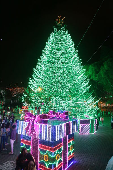 Alumbrado Navideño 2016
Alumbrado Navideño 2016
Fecha: Diciembre 7 de 2016
Para descargar esta fotografía en alta resolución, haga clic sobre la imagen hasta que la misma se despliegue en la pantalla completa; luego dé clic derecho y elija la opción "guardar imagen como". 
En caso de publicación por cualquier medio, solicitamos acompañarla del crédito: "Foto EPM"
Palabras clave: Alumbrado Navideño 2016