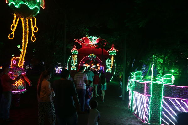 Alumbrado Navideño 2016
Alumbrado Navideño 2016
Fecha: Diciembre 7 de 2016
Para descargar esta fotografía en alta resolución, haga clic sobre la imagen hasta que la misma se despliegue en la pantalla completa; luego dé clic derecho y elija la opción "guardar imagen como". 
En caso de publicación por cualquier medio, solicitamos acompañarla del crédito: "Foto EPM"
Keywords: Alumbrado Navideño 2016