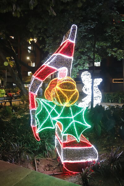 Alumbrados 2020 Centro Medellín
Alumbrados centro de la Ciudad 2020.
Fecha: Diciembre 16 2020.
Para descargar esta fotografía en alta resolución, haga clic sobre la imagen hasta que la misma se despliegue en la pantalla completa; luego dé clic derecho y elija la opción "guardar imagen como". 
En caso de publicación por cualquier medio, solicitamos acompañarla del crédito: "Foto EPM"
Palabras clave: Alumbrados 2020 Centro Medellín
