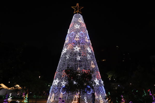 Alumbrado Navideño 2019 Parques del Rio
Alumbrado Navideño 2019 Parques del Rio
Fecha: Diciembre 2 2019.
Para descargar esta fotografía en alta resolución, haga clic sobre la imagen hasta que la misma se despliegue en la pantalla completa; luego dé clic derecho y elija la opción "guardar imagen como". 
En caso de publicación por cualquier medio, solicitamos acompañarla del crédito: "Foto EPM"
Palabras clave: Alumbrado Navideño 2019 Parques del Rio