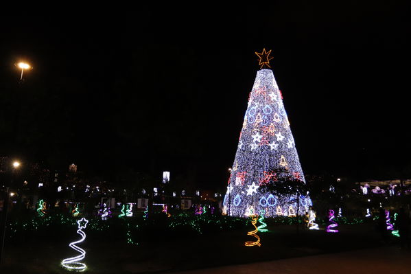 Alumbrado Navideño 2019 Parques del Rio
Alumbrado Navideño 2019 Parques del Rio
Fecha: Diciembre 2 2019.
Para descargar esta fotografía en alta resolución, haga clic sobre la imagen hasta que la misma se despliegue en la pantalla completa; luego dé clic derecho y elija la opción "guardar imagen como". 
En caso de publicación por cualquier medio, solicitamos acompañarla del crédito: "Foto EPM"
Palabras clave: Alumbrado Navideño 2019 Parques del Rio