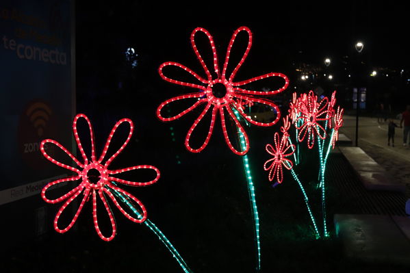 Alumbrado Navideño 2019 Parques del Rio
Alumbrado Navideño 2019 Parques del Rio
Fecha: Diciembre 2 2019.
Para descargar esta fotografía en alta resolución, haga clic sobre la imagen hasta que la misma se despliegue en la pantalla completa; luego dé clic derecho y elija la opción "guardar imagen como". 
En caso de publicación por cualquier medio, solicitamos acompañarla del crédito: "Foto EPM"
Palabras clave: Alumbrado Navideño 2019 Parques del Rio