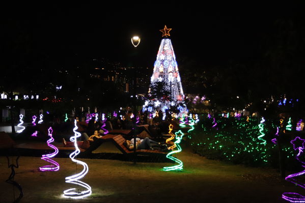 Alumbrado Navideño 2019 Parques del Rio
Alumbrado Navideño 2019 Parques del Rio
Fecha: Diciembre 2 2019.
Para descargar esta fotografía en alta resolución, haga clic sobre la imagen hasta que la misma se despliegue en la pantalla completa; luego dé clic derecho y elija la opción "guardar imagen como". 
En caso de publicación por cualquier medio, solicitamos acompañarla del crédito: "Foto EPM"
Palabras clave: Alumbrado Navideño 2019 Parques del Rio