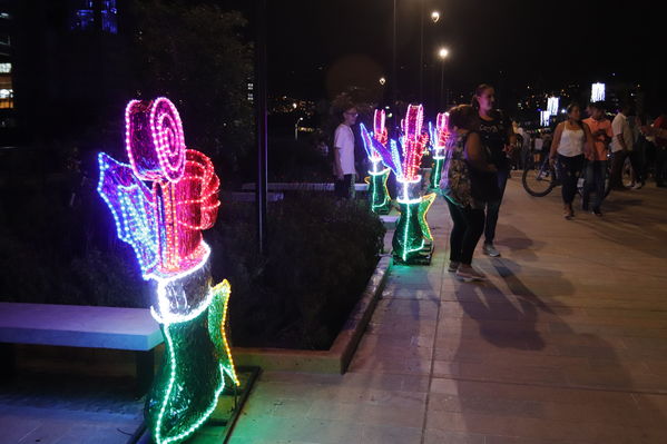 Alumbrado Navideño 2019 Parques del Rio
Alumbrado Navideño 2019 Parques del Rio
Fecha: Diciembre 2 2019.
Para descargar esta fotografía en alta resolución, haga clic sobre la imagen hasta que la misma se despliegue en la pantalla completa; luego dé clic derecho y elija la opción "guardar imagen como". 
En caso de publicación por cualquier medio, solicitamos acompañarla del crédito: "Foto EPM"
Palabras clave: Alumbrado Navideño 2019 Parques del Rio