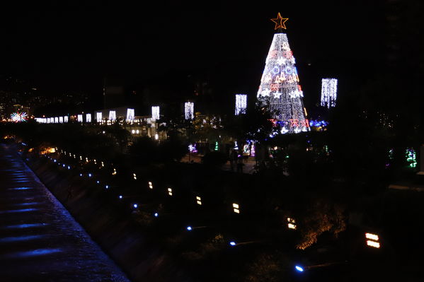 Alumbrado Navideño 2019 Parques del Rio
Alumbrado Navideño 2019 Parques del Rio
Fecha: Diciembre 2 2019.
Para descargar esta fotografía en alta resolución, haga clic sobre la imagen hasta que la misma se despliegue en la pantalla completa; luego dé clic derecho y elija la opción "guardar imagen como". 
En caso de publicación por cualquier medio, solicitamos acompañarla del crédito: "Foto EPM"
Palabras clave: Alumbrado Navideño 2019 Parques del Rio