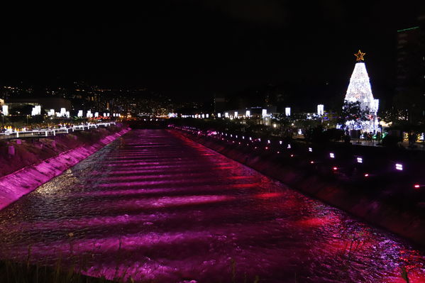 Alumbrado Navideño 2019 Parques del Rio
Alumbrado Navideño 2019 Parques del Rio
Fecha: Diciembre 2 2019.
Para descargar esta fotografía en alta resolución, haga clic sobre la imagen hasta que la misma se despliegue en la pantalla completa; luego dé clic derecho y elija la opción "guardar imagen como". 
En caso de publicación por cualquier medio, solicitamos acompañarla del crédito: "Foto EPM"
Palabras clave: Alumbrado Navideño 2019 Parques del Rio