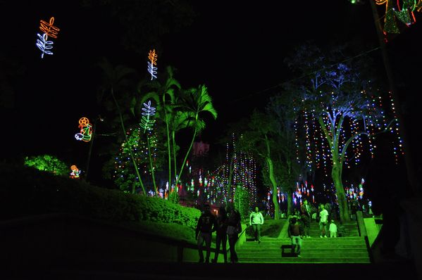 Encendido alumbrado navideño. Amagá
Encendido alumbrado navideño. Amagá
Fecha: Diciembre 2 de 2013. Lugar: Amagá
Para descargar esta fotografía en alta resolución, haga clic sobre la imagen hasta que la misma se despliegue en la pantalla completa; luego dé clic derecho y elija la opción "guardar imagen como". 
En caso de publicación por cualquier medio, solicitamos acompañarla del crédito: "Foto EPM"

Palabras clave: Encendido alumbrado navideño Amagá