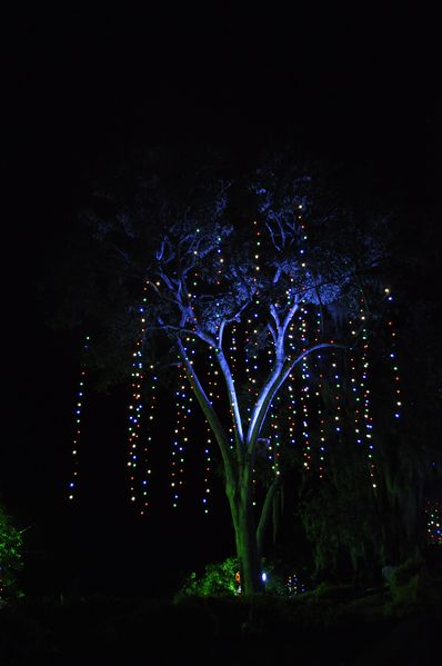 Encendido alumbrado navideño. Amagá
Encendido alumbrado navideño. Amagá
Fecha: Diciembre 2 de 2013. Lugar: Amagá
Para descargar esta fotografía en alta resolución, haga clic sobre la imagen hasta que la misma se despliegue en la pantalla completa; luego dé clic derecho y elija la opción "guardar imagen como". 
En caso de publicación por cualquier medio, solicitamos acompañarla del crédito: "Foto EPM"

Palabras clave: Encendido alumbrado navideño Amagá