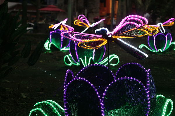 Alumbrado Navideño Belen
Palabras clave: Alumbrado Navideño Belen