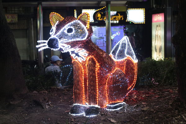 Alumbrado Navideño Belen
Palabras clave: Alumbrado Navideño Belen