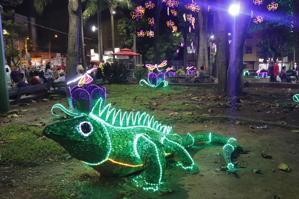 Alumbrado Navideño Belen
Palabras clave: Alumbrado Navideño Belen