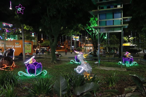 Alumbrado Navideño Belen
Palabras clave: Alumbrado Navideño Belen