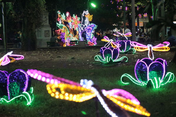 Alumbrado Navideño Belen
Palabras clave: Alumbrado Navideño Belen