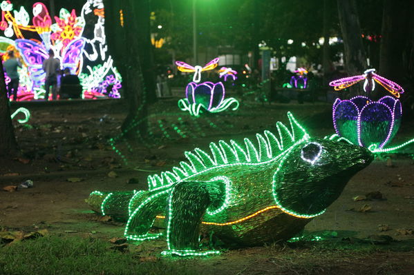 Alumbrado Navideño Belen
Palabras clave: Alumbrado Navideño Belen