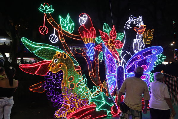 Alumbrado Navideño Cristo Rey
Palabras clave: Alumbrado Navideño Cristo Rey
