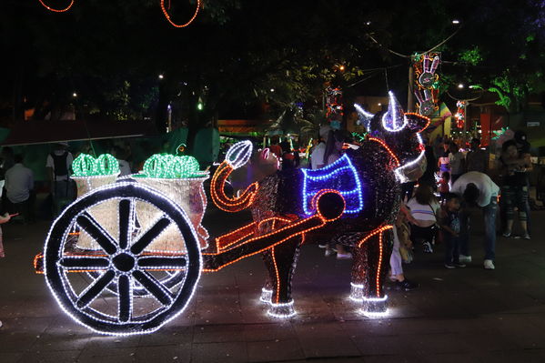 Alumbrado Navideño Cristo Rey
Palabras clave: Alumbrado Navideño Cristo Rey