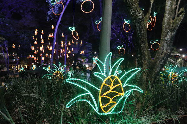 Alumbrado Navideño Cristo Rey
Palabras clave: Alumbrado Navideño Cristo Rey