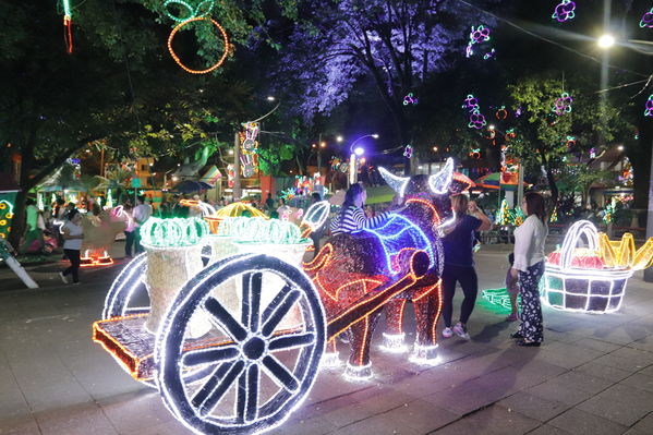 Alumbrado Navideño Cristo Rey
Palabras clave: Alumbrado Navideño Cristo Rey