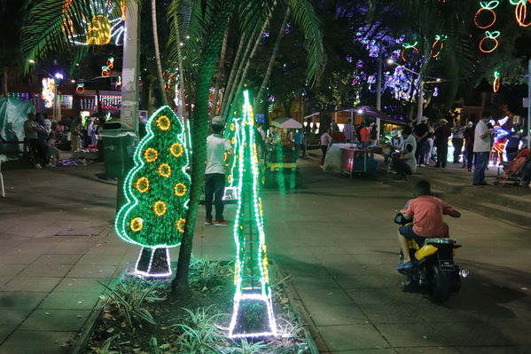 Alumbrado Navideño Cristo Rey
Palabras clave: Alumbrado Navideño Cristo Rey