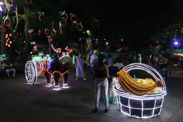 Alumbrado Navideño Cristo Rey
Palabras clave: Alumbrado Navideño Cristo Rey