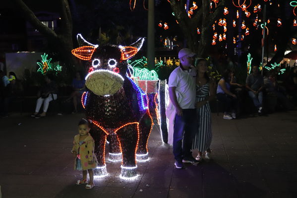 Alumbrado Navideño Cristo Rey
Palabras clave: Alumbrado Navideño Cristo Rey