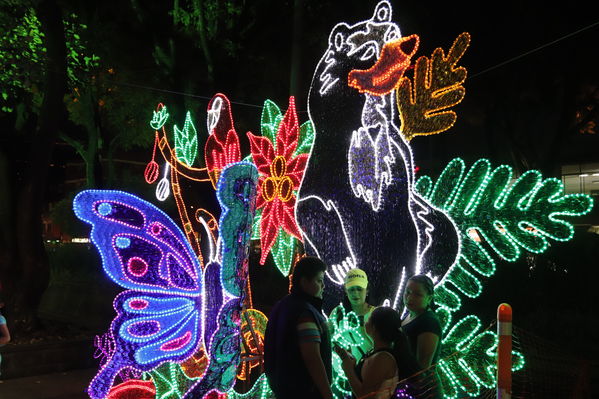 Alumbrado Navideño Cristo Rey
Palabras clave: Alumbrado Navideño Cristo Rey