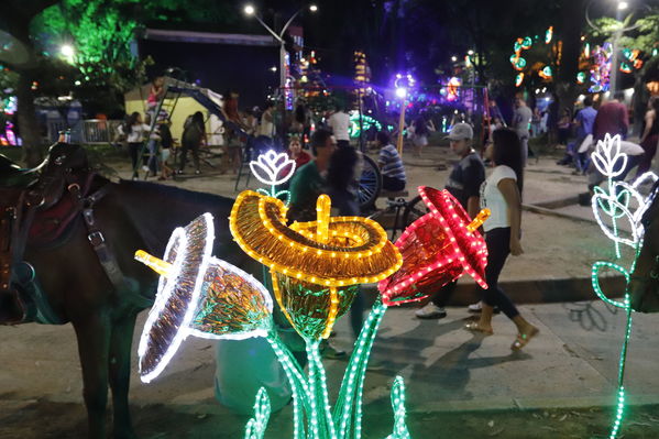 Alumbrado Navideño Floresta
Palabras clave: Alumbrado Navideño Floresta