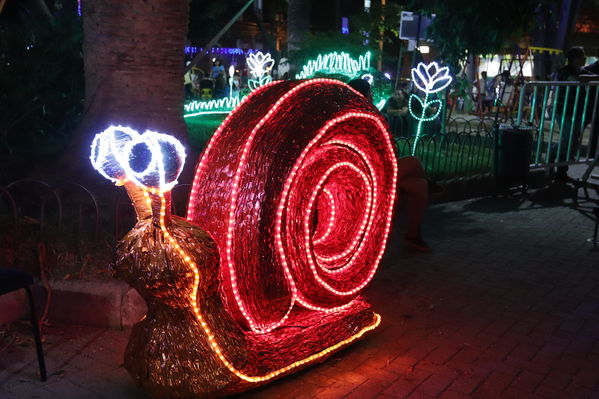 Alumbrado Navideño Floresta
Palabras clave: Alumbrado Navideño Floresta
