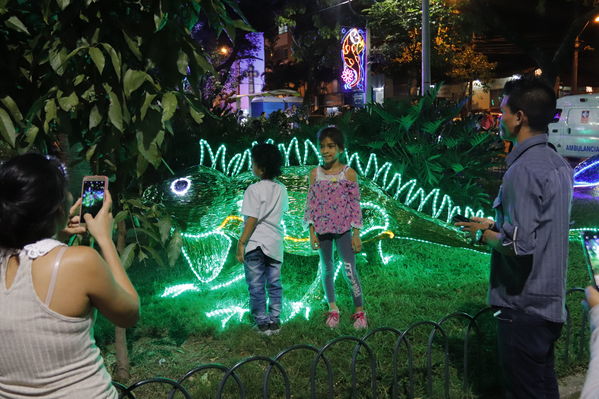 Alumbrado Navideño Floresta
Palabras clave: Alumbrado Navideño Floresta