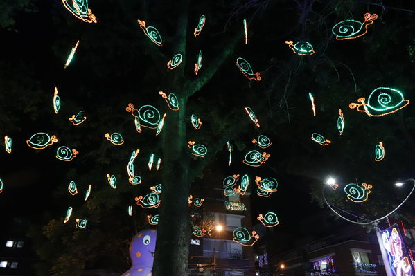 Alumbrado Navideño Floresta
Palabras clave: Alumbrado Navideño Floresta