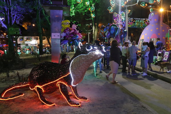 Alumbrado Navideño Floresta
Palabras clave: Alumbrado Navideño Floresta