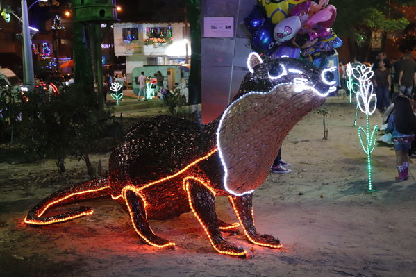 Alumbrado Navideño Floresta
Palabras clave: Alumbrado Navideño Floresta