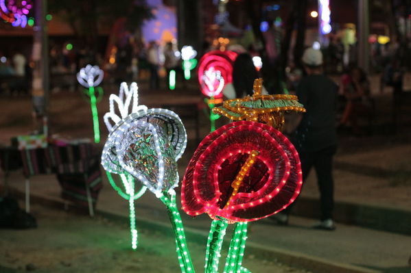 Alumbrado Navideño Floresta
Palabras clave: Alumbrado Navideño Floresta
