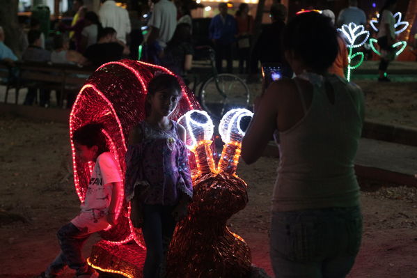 Alumbrado Navideño Floresta
Palabras clave: Alumbrado Navideño Floresta