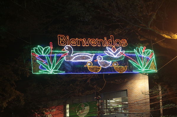 Alumbrado Navideño Floresta
Palabras clave: Alumbrado Navideño Floresta