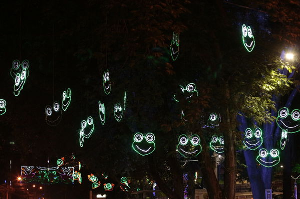 Alumbrado Navideño Floresta
Palabras clave: Alumbrado Navideño Floresta