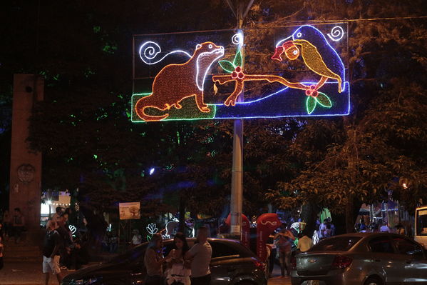 Alumbrado Navideño Floresta
Palabras clave: Alumbrado Navideño Floresta