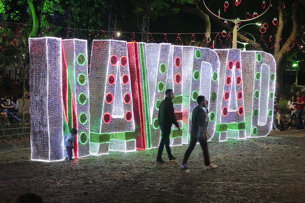 Alumbrado Navideño Laureles
Palabras clave: Alumbrado Navideño Laureles