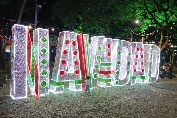 Alumbrado Navideño Laureles
Palabras clave: Alumbrado Navideño Laureles