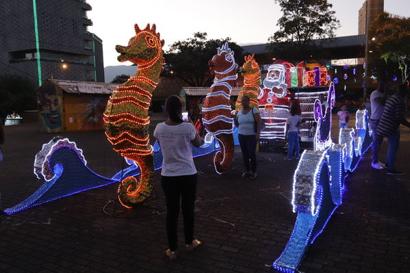 Alumbrado Navideño San Antonio
Palabras clave: Alumbrado Navideño San Antonio