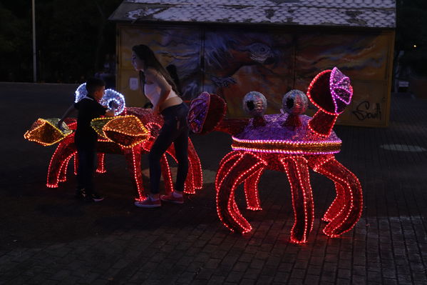 Alumbrado Navideño San Antonio
Palabras clave: Alumbrado Navideño San Antonio