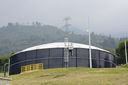 Nombre del archivo=_DSC0372.JPG
Tamaño del archivo=2471KiB
Dimensiones=5000x3333
Fecha añadida=Agosto 16, 2019 _DSC0372.JPG