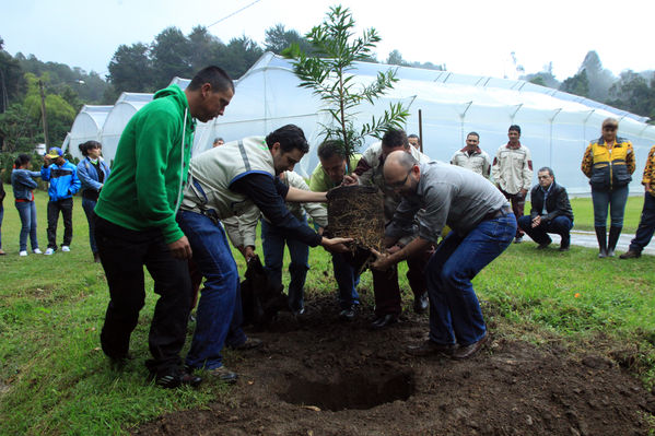 Inauguración del invernadero del vivero Piedras Blancas
Inauguración del invernadero del vivero Piedras Blancas
Fecha: Febrero 8 de 2013
Para descargar esta fotografía en alta resolución, haga clic sobre la imagen hasta que la misma se despliegue en la pantalla completa; luego dé clic derecho y elija la opción "guardar imagen como". 
En caso de publicación por cualquier medio, solicitamos acompañarla del crédito: "Cortesía EPM".
Palabras clave: Inauguración invernadero vivero Piedras Blancas
