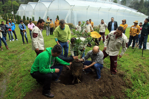 Inauguración del invernadero del vivero Piedras Blancas
Inauguración del invernadero del vivero Piedras Blancas
Fecha: Febrero 8 de 2013
Para descargar esta fotografía en alta resolución, haga clic sobre la imagen hasta que la misma se despliegue en la pantalla completa; luego dé clic derecho y elija la opción "guardar imagen como". 
En caso de publicación por cualquier medio, solicitamos acompañarla del crédito: "Cortesía EPM".
Palabras clave: Inauguración invernadero vivero Piedras Blancas