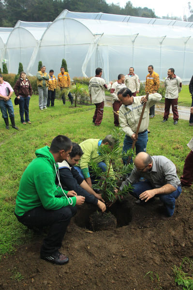 Inauguración del invernadero del vivero Piedras Blancas
Inauguración del invernadero del vivero Piedras Blancas
Fecha: Febrero 8 de 2013
Para descargar esta fotografía en alta resolución, haga clic sobre la imagen hasta que la misma se despliegue en la pantalla completa; luego dé clic derecho y elija la opción "guardar imagen como". 
En caso de publicación por cualquier medio, solicitamos acompañarla del crédito: "Cortesía EPM".
Palabras clave: Inauguración invernadero vivero Piedras Blancas