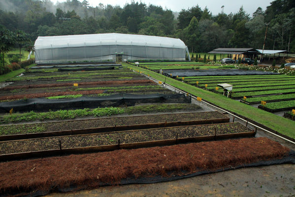 Inauguración del invernadero del vivero Piedras Blancas
Inauguración del invernadero del vivero Piedras Blancas
Fecha: Febrero 8 de 2013
Para descargar esta fotografía en alta resolución, haga clic sobre la imagen hasta que la misma se despliegue en la pantalla completa; luego dé clic derecho y elija la opción "guardar imagen como". 
En caso de publicación por cualquier medio, solicitamos acompañarla del crédito: "Cortesía EPM".
Palabras clave: Inauguración invernadero vivero Piedras Blancas